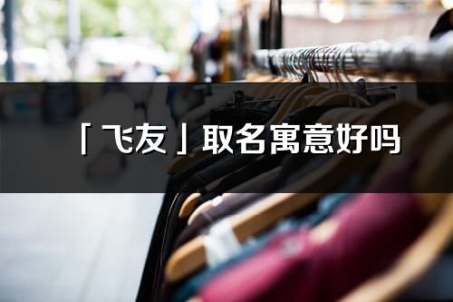 「飛友」取名寓意好嗎_飛友名字含義及五行