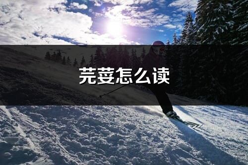 芫荽怎么讀_芫荽的讀音