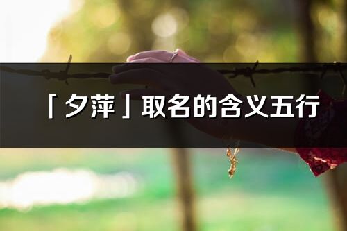 「夕萍」取名的含義五行_夕萍名字寓意解釋