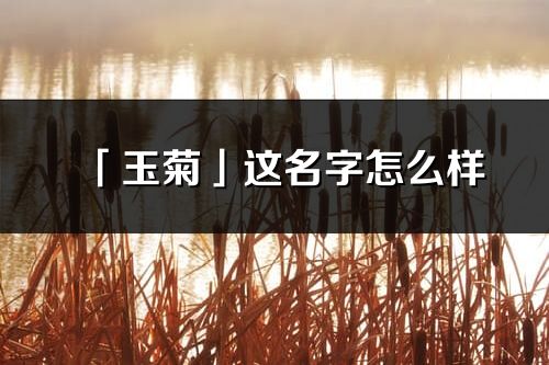 「玉菊」這名字怎么樣_玉菊的名字解釋