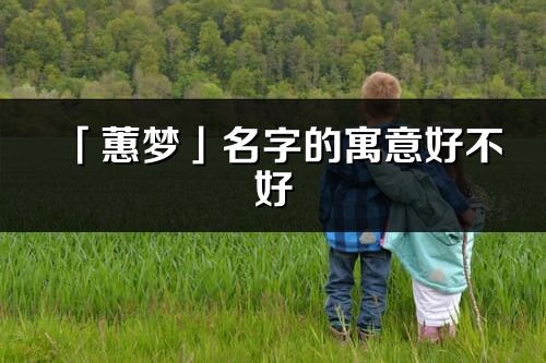「蕙夢」名字的寓意好不好_蕙夢含義分析