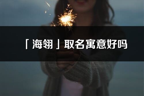 「海翎」取名寓意好嗎_海翎名字含義及五行