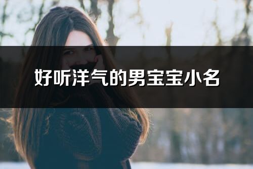 好聽洋氣的男寶寶小名