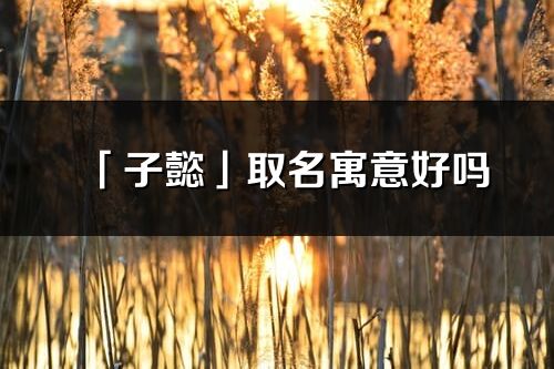 「子懿」取名寓意好嗎_子懿名字含義及五行