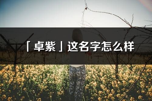 「卓紫」這名字怎么樣_卓紫的名字解釋