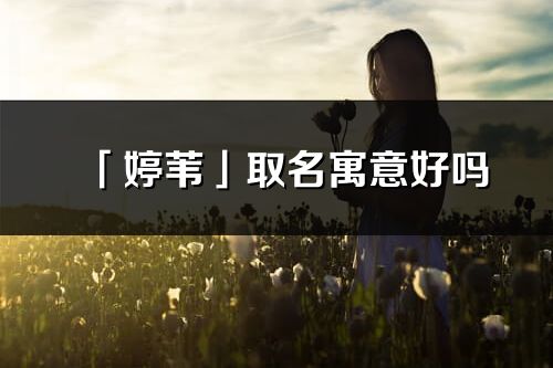 「婷葦」取名寓意好嗎_婷葦名字含義及五行