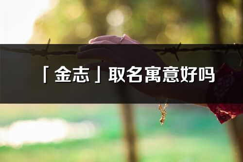 「金志」取名寓意好嗎_金志名字含義及五行