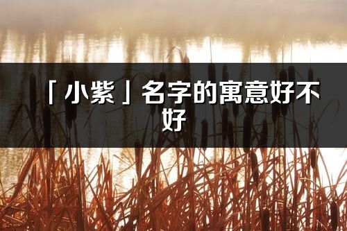 「小紫」名字的寓意好不好_小紫含義分析