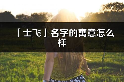 「士飛」名字的寓意怎么樣_士飛的出處