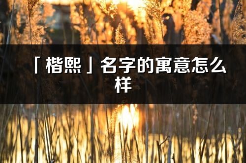 「楷熙」名字的寓意怎么樣_楷熙的出處