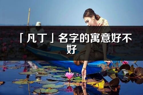 「凡丁」名字的寓意好不好_凡丁含義分析