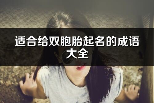 適合給雙胞胎起名的成語大全