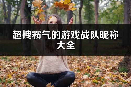 超拽霸氣的游戲戰隊昵稱大全(180個)