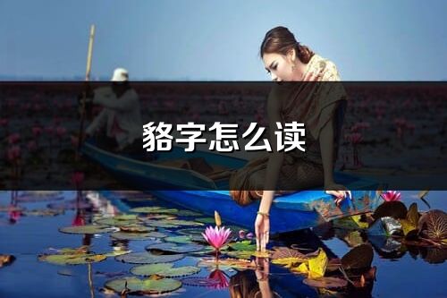 貉字怎么讀_貉的讀音