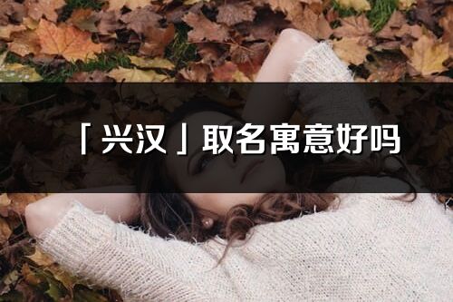 「興漢」取名寓意好嗎_興漢名字含義及五行