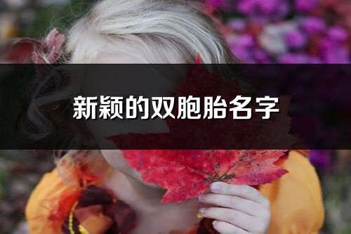 新穎的雙胞胎名字