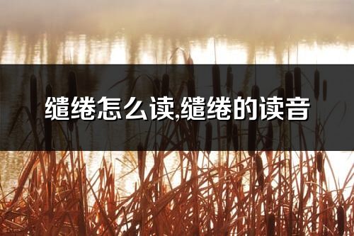 繾綣怎么讀,繾綣的讀音