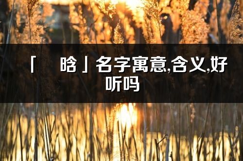 「燚晗」名字寓意,含義,好聽嗎_燚晗名字分析打分