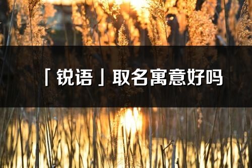 「銳語」取名寓意好嗎_銳語名字含義及五行