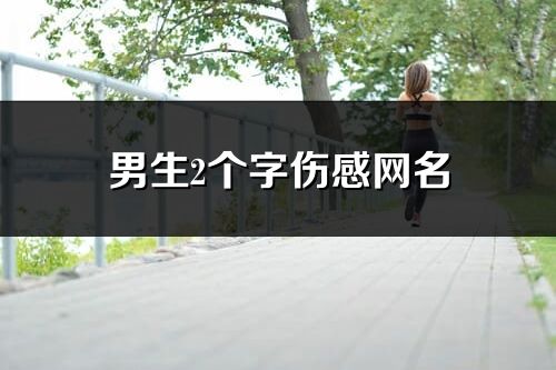 男生2個字傷感網名(85個)
