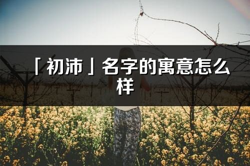 「初沛」名字的寓意怎么樣_初沛的出處