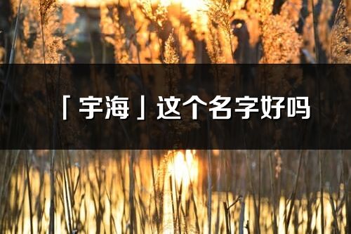 「宇海」這個名字好嗎_宇海名字寓意,含義