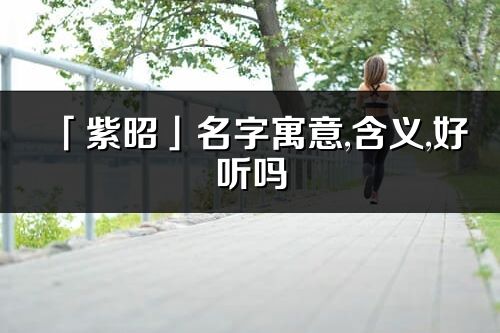 「紫昭」名字寓意,含義,好聽嗎_紫昭名字分析打分