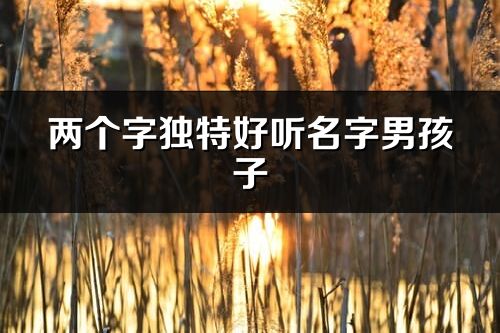 兩個字獨特好聽名字男孩子