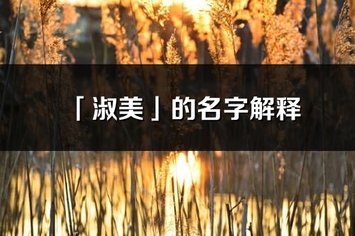 「淑美」的名字解釋_淑美含義分析