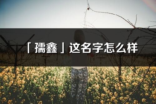 「孺鑫」這名字怎么樣_孺鑫的名字解釋