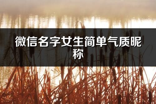 微信名字女生簡單氣質昵稱(優選296個)