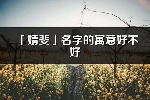 「婧斐」名字的寓意好不好_婧斐含義分析