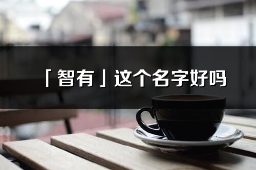 「智有」這個名字好嗎_智有名字寓意,含義