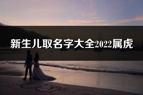 新生兒取名字大全2022屬虎