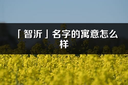 「智沂」名字的寓意怎么樣_智沂的出處
