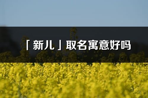 「新兒」取名寓意好嗎_新兒名字含義及五行