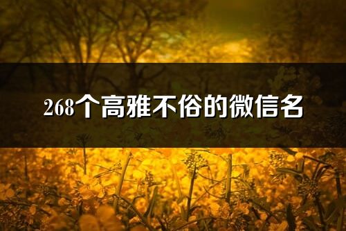 268個高雅不俗的微信名