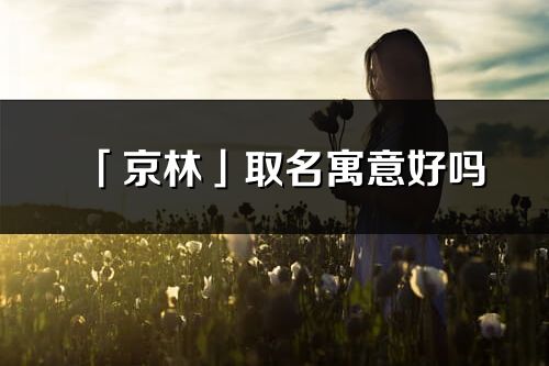 「京林」取名寓意好嗎_京林名字含義及五行