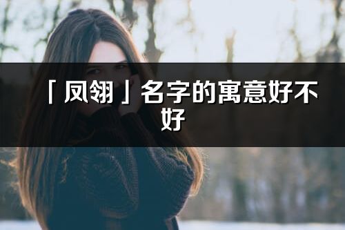 「鳳翎」名字的寓意好不好_鳳翎含義分析