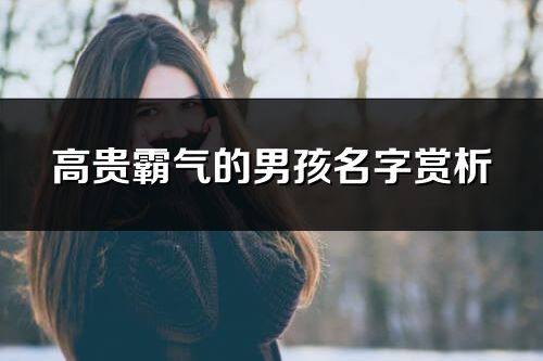 高貴霸氣的男孩名字賞析