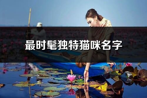 最時髦獨特貓咪名字(共87個)
