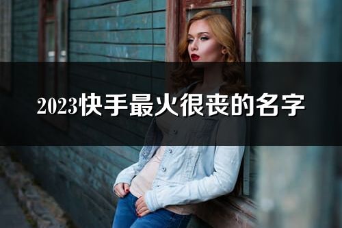 2023快手最火很喪的名字(288個)