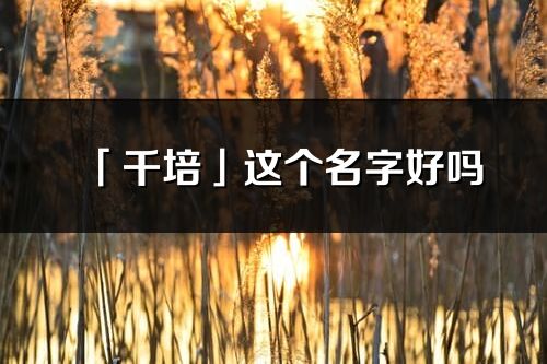 「千培」這個名字好嗎_千培名字寓意,含義