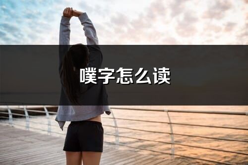 噗字怎么讀_噗的讀音
