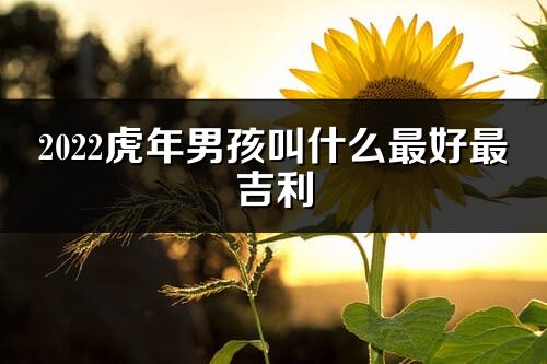 2022虎年男孩叫什么最好最吉利