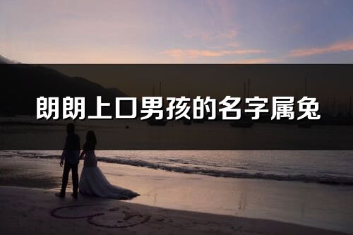 朗朗上口男孩的名字屬兔