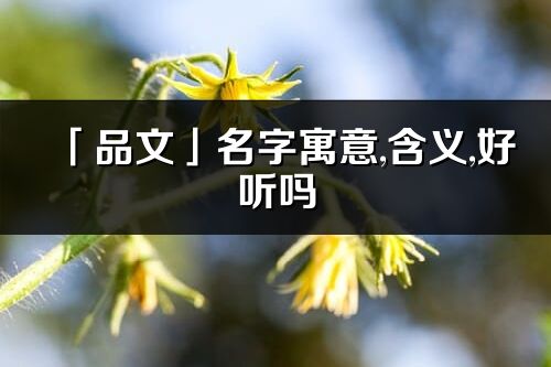 「品文」名字寓意,含義,好聽嗎_品文名字分析打分