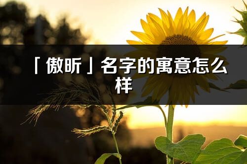 「傲昕」名字的寓意怎么樣_傲昕的出處