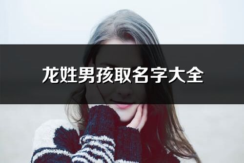 龍姓男孩取名字大全