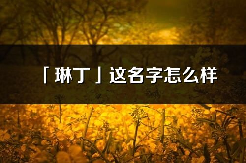 「琳丁」這名字怎么樣_琳丁的名字解釋